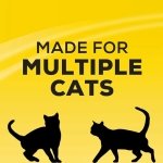 Tidy Cats 4-in-1 Strength Cat Litter, LightWeight Multi-Cat - 2.72 kg Jug - Image 4
