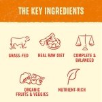 Stella & Chewy’s Freeze Dried Raw Dinner Patties – Grain Free Dog Food, Protein Rich Stella’s Super Beef Recipe – 156g Bag - Image 8