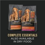 Purina Pro Plan Complete Essentials Wet Dog Food, Entree Variety Pack 2 Flavours - 368 g Can (12 Pack) - Image 6