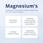 CanPrev - Pure Magnesium Bis-Glycinate 200mg (Gentle) | 240 v-caps | Elemental Chelated Complex Supplement | Magnesium bis-glycinate blend - Glycine, Magnesium Oxide, Magnesium bis-glycinate chelate | Vegan - Image 5
