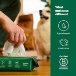 Earth Rated Pet Ear Wipes, Hypoallergenic Ear Wipes for Dogs & Cats to Remove Dirt and Wax Build up, Oatmeal Scent, 60 Count - Image 2