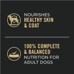 Purina Pro Plan Complete Essentials Wet Dog Food, Entree Variety Pack 2 Flavours - 368 g Can (12 Pack) - Image 7