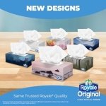 Royale Original 2 Ply Facial Tissue, Soft & Strong, 6 Tissue Boxes, 126 Tissues Per Box - Image 6