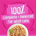 Friskies Shredded Wet Cat Food, Poultry & Fish Combo Variety Pack 4 Flavours - 156 g Can (32 Pack) - Image 8