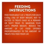 Friskies Party Mix Cat Treats, Gravy-licious Crunch Chicken and Gravy - 454 g Cannister (1 Pack) - Image 2
