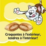 TEMPTATIONS Adult Cat Treats, Tasty Chicken Flavour, 454g Tub - Image 2