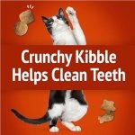 Friskies Party Mix Cat Treats, Gravy-licious Crunch Chicken and Gravy - 454 g Cannister (1 Pack) - Image 8