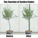 FEED GARDEN Garden Stakes 36 Inch 3ft 25 Pack, Sturdy Plant Metal Sticks Support, Plastic Coated Plant Stakes, Tomato Stakes, Beans, Trees - Image 2