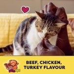 TEMPTATIONS Mix-Ups Cat Treats, (Chicken, Turkey & Beef Flavour), 454g Tub - Image 10