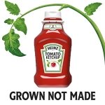 Tomato Ketchup (50.5 oz Bottles, 2 Count) - Image 9