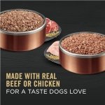 Purina Pro Plan Complete Essentials Wet Dog Food, Entree Variety Pack 2 Flavours - 368 g Can (12 Pack) - Image 4