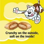 TEMPTATIONS Adult Cat Treats, Tasty Chicken Flavour, 454g Tub - Image 3