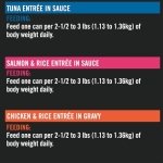 Pro Plan Wet Cat Food, Salmon & Rice, Chicken & Rice, Tuna Variety Pack 85g can (12 pack) - Image 2