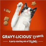 Friskies Party Mix Cat Treats, Gravy-licious Crunch Chicken and Gravy - 454 g Cannister (1 Pack) - Image 5