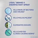 Lysol Disinfectant Spray, All in One, Crisp Linen, Disinfect and Eliminate Odours on Hard Surfaces and Fabrics, Kills 99.99% of Viruses & Bacteria, 350g - Image 3
