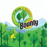 Select-A-Size Paper Towel, White, 2 Triple Rolls = 6 Regular Rolls, 2 Count - Image 2