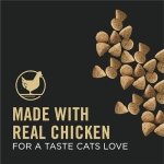 Purina Pro Plan Vital Systems Dry Cat Food, Chicken & Egg - 1.36 kg Bag - Image 4