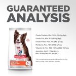 Hill's Science Diet Adult Dog Dry Perfect Digestion Chicken, Brown Rice, & Whole Oats Recipe, 22 lb Bag - Image 3