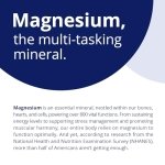 CanPrev - Pure Magnesium Bis-Glycinate 200mg (Gentle) | 240 v-caps | Elemental Chelated Complex Supplement | Magnesium bis-glycinate blend - Glycine, Magnesium Oxide, Magnesium bis-glycinate chelate | Vegan - Image 3