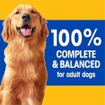PEDIGREE Choice Cuts in Sauce Adult Wet Dog Food Canned with Real Beef, 630g (12 Pack) - Image 8