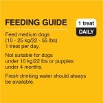 PEDIGREE DENTASTIX Oral Care Adult Dog Treats for Medium Dogs - Beef, 40 Sticks - Image 4