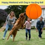 Herding Ball for Dogs, 25" Horse Ball | Jolly Ball for Horses, Large Dog Balls | Ball for Dogs Australian Shepherds Horse Toys, Horse Balls for Play Hearding Ball (Orange, 25 inch) - Image 9