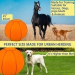 Herding Ball for Dogs, 25" Horse Ball | Jolly Ball for Horses, Large Dog Balls | Ball for Dogs Australian Shepherds Horse Toys, Horse Balls for Play Hearding Ball (Orange, 25 inch) - Image 5