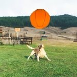 Herding Ball for Dogs, 25" Horse Ball | Jolly Ball for Horses, Large Dog Balls | Ball for Dogs Australian Shepherds Horse Toys, Horse Balls for Play Hearding Ball (Orange, 25 inch) - Image 3
