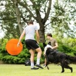 Herding Ball for Dogs, 25" Horse Ball | Jolly Ball for Horses, Large Dog Balls | Ball for Dogs Australian Shepherds Horse Toys, Horse Balls for Play Hearding Ball (Orange, 25 inch) - Image 4