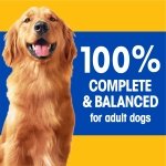 PEDIGREE CHOPPED Adult Wet Dog Food, Ground Dinner Chicken, 375g Can (12 Pack) - Image 5