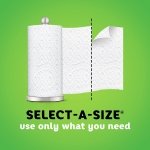 Bounty Select-A-Size Kitchen Rolls Paper Towel, 2-Ply, White, 147 Sheets/Roll, 12 Rolls/Carton (66980) - Image 5