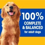 PEDIGREE High Protein Adult Wet Dog Food - Beef & Lamb Flavour in Gravy, 375g, 12 cans - Image 5