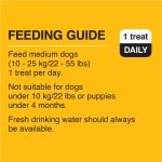 PEDIGREE DENTASTIX Oral Care Adult Dog Treats for Medium Dogs - Beef, 25 Sticks - Image 3