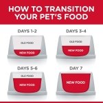 Hill's Science Diet Adult Oral Care Chicken Recipe Dry Cat Food for dental health, 15.5 lb Bag - Image 2