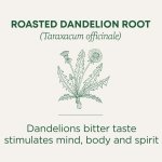 Traditional Medicinals Organic Roasted Dandelion Root Herbal Tea, 16 Bags (Pack of 1) - Image 6