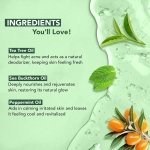 Botanic Hearth Tea Tree Body Wash Helps Nail Conditions Athletes Foot Ringworms Jock Itch & Body Odor Soothes Itching & Promotes Healthy Skin and Feet Naturally Scented 16fl oz - Image 2