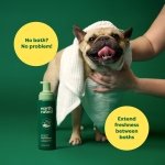 Earth Rated No-Rinse Dog Shampoo, Convenient Waterless Dog & Puppy Shampoo for Cleaning, Conditioning & Detangling, for All Coat Types, Refreshing White Tea & Basil Scent, 207 ml. - Image 8