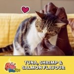 TEMPTATIONS Mix-Ups Adult Cat Treats Tuna, Shrimp & Salmon Flavour, 850g Tub - Image 5