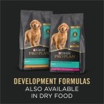 Purina Pro Plan (3810002773) Wet Dog Food, Focus, Puppy Chicken & Rice Entree Classic, 13-Ounce Can, Pack of 12 - Image 5