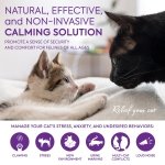 TopSum Cat Pheromones Calming Diffuser: Premium Pheromone Diffuser for Cats - Cat Pheromones Diffuser - Cat Calming Diffuser - Cat Calming Pheromone Diffuser, 2 Pack (S Purple) - Image 6