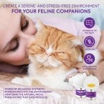 TopSum Cat Pheromones Calming Diffuser: Premium Pheromone Diffuser for Cats - Cat Pheromones Diffuser - Cat Calming Diffuser - Cat Calming Pheromone Diffuser, 2 Pack (S Purple) - Image 5