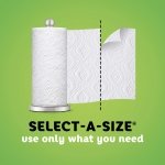 Bounty Select-A-Size Paper Towels, White, 4 Double Rolls = 8 Regular Rolls, 4Count (Pack Of 4) - Image 4