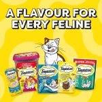 TEMPTATIONS Mix-Ups Adult Cat Treats Tuna, Shrimp & Salmon Flavour, 850g Tub - Image 4