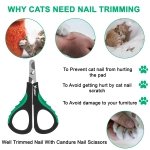 Candure Cat Nail Clippers Stainless Steel Cat Claw Trimmers for Rabbits,Guinea Pigs, Birds, Puppies, Kittens and Small Animals- Pet Nail Clippers for Professional and Home Use (Black) - Image 5