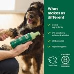 Earth Rated No-Rinse Dog Shampoo, Convenient Waterless Dog & Puppy Shampoo for Cleaning, Conditioning & Detangling, for All Coat Types, Refreshing White Tea & Basil Scent, 207 ml. - Image 3