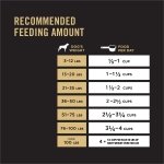 Pro Plan Dry Dog Food, Sensitive Skin & Stomach, Salmon & Rice, Brown, 7.26 kg (Pack of 1) - Image 2