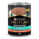 Purina Pro Plan (3810002773) Wet Dog Food, Focus, Puppy Chicken & Rice Entree Classic, 13-Ounce Can, Pack of 12