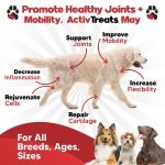 Glucosamine for Dogs Hip and Joint Supplement - Safe Joint Support for Dogs - Dog Joint Supplement with Glucosamine Chondroitin MSM Turmeric - 120 Joint Care Chews for Dogs ActivTreats - Image 7