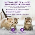 TopSum Cat Pheromones Calming Diffuser: Premium Pheromone Diffuser for Cats - Cat Pheromones Diffuser - Cat Calming Diffuser - Cat Calming Pheromone Diffuser, 2 Pack (S Purple) - Image 3