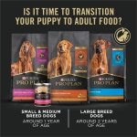 Purina Pro Plan (3810002773) Wet Dog Food, Focus, Puppy Chicken & Rice Entree Classic, 13-Ounce Can, Pack of 12 - Image 2